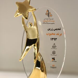 Golden Statue for the Most Popular Brand of the Year
